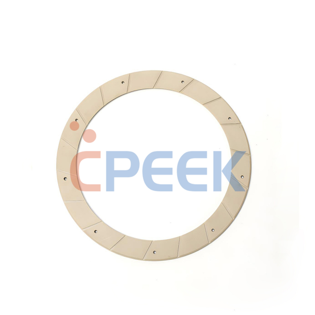 PEEK CMP Support Ring